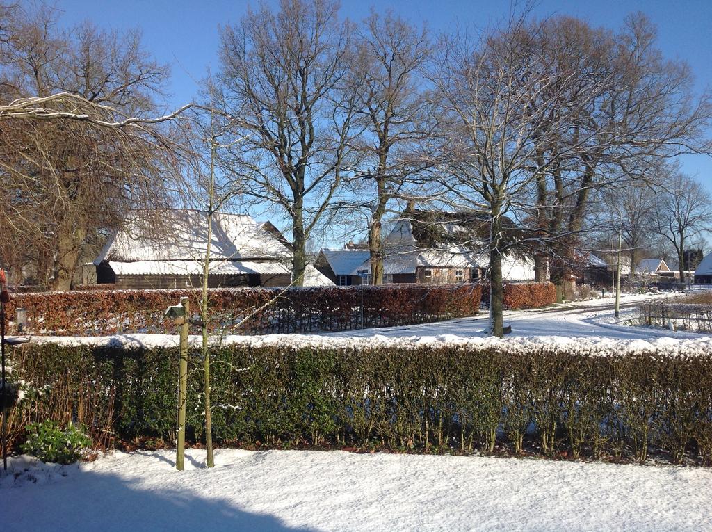 De Rode Beuk Bed and Breakfast Elp Exteriör bild